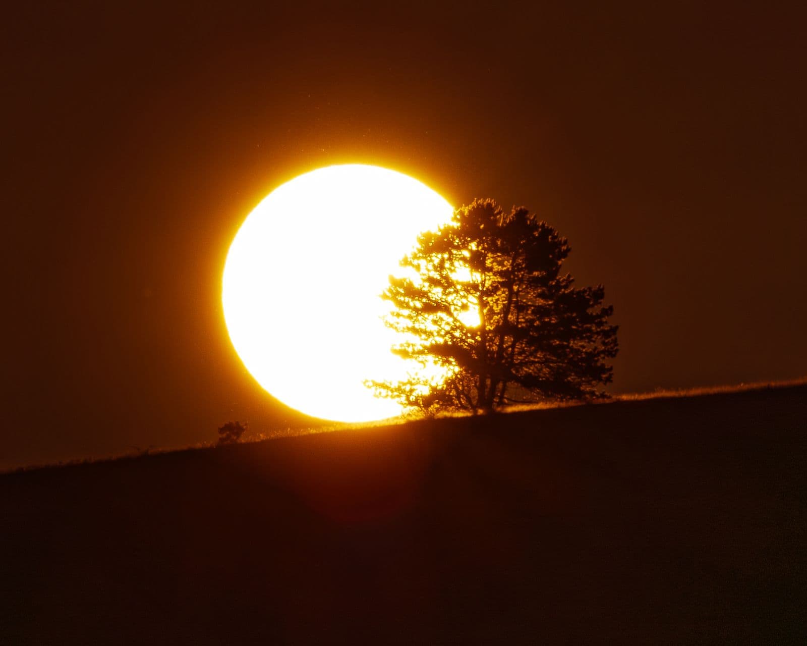 Portret outdoor — pădure de toamnă